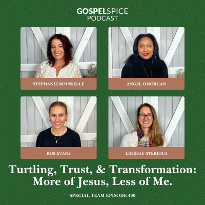 episode Turtling, trust, and transformation: More of Jesus, less of me. artwork