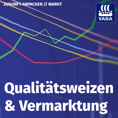 episode #47: Markt Spezial – Qualitätsweizen und Vermarktung artwork