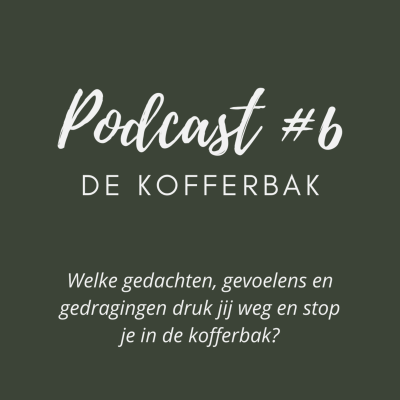 episode #6 De Kofferbak artwork