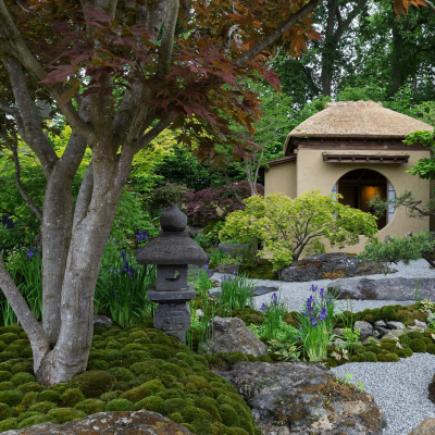 episode The RHS Chelsea Flower Show 2025 artwork