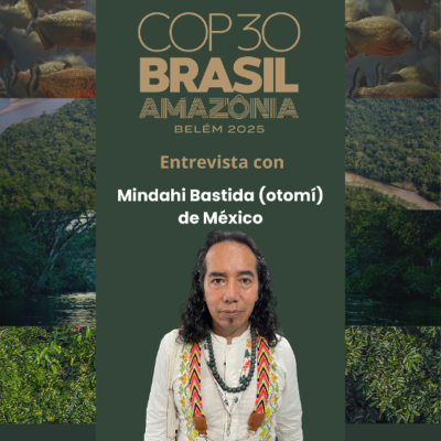 episode COP30 - Exigencias de los Pueblos Indígenas - Mindahi Bastida artwork