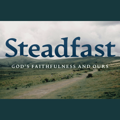 episode Steadfast #5: Caring Across Division artwork