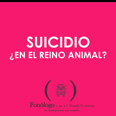 episode Fonólogo - Suicidio en el reino animal artwork