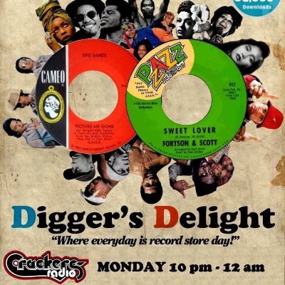 episode Diggers Delight with Dave Regan 10 pm GMT Monday 30-12-2024 artwork