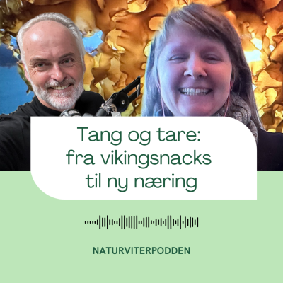 episode Tare – fra vikingsnacks til ny næring artwork