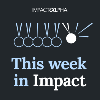 episode Risk misperceptions in climate and emerging markets artwork