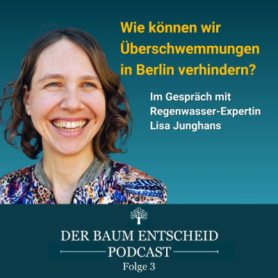 episode Wie können wir Überflutungen in Berlin verhindern? artwork