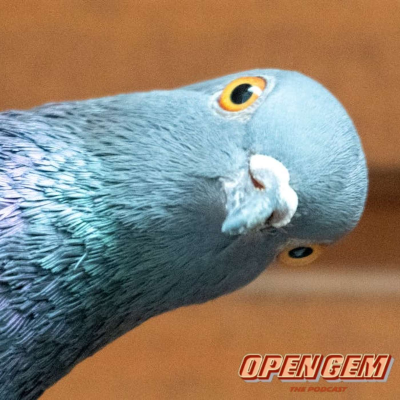 episode Pigeon Pot Pie | Episode 141 artwork