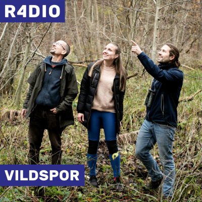 VILDSPOR - Vildspor - Live fra Bogforum