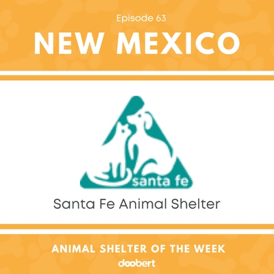 episode Animal Shelter of the Week: Episode 63 – Santa Fe Animal Shelter artwork