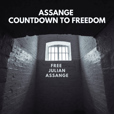 Assange Countdown to Freedom