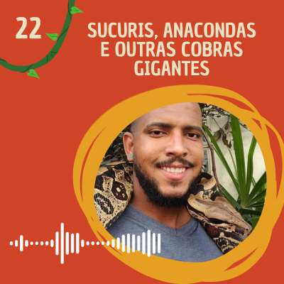 episode Sucuris, Anacondas e outras cobras gigantes com Matheus Reis artwork