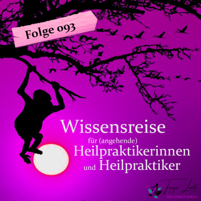 episode Verdauung: Pathologie Reizdarmsyndrom (Folge 93) artwork