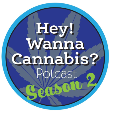 episode Episode 12: Hot Chicken Chips & Owls artwork