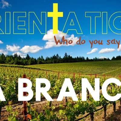 episode Orientation 5: I am a Branch artwork