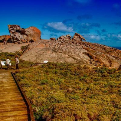 episode Kangaroo Island: Australiens Arche Noah artwork
