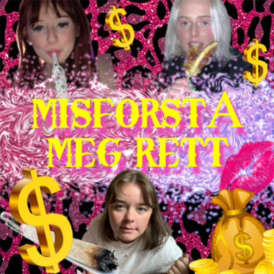 Cover image of show Misforstå meg rett