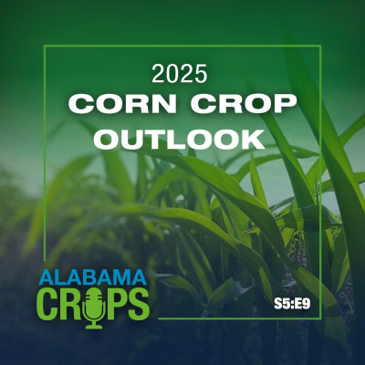 episode Season 5 Episode 9 — 2025 Corn Crop Outlook artwork