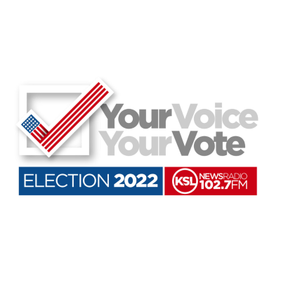 episode Primary Election Night - Democratic Elections artwork