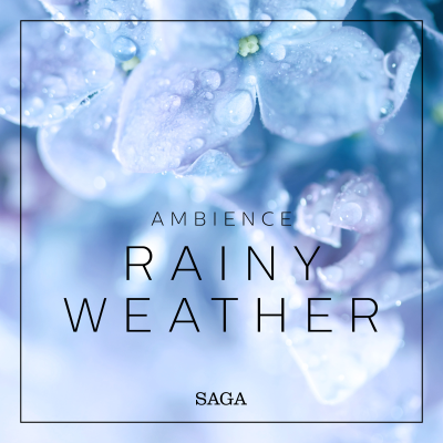 episode Ambience - Rainy Weather artwork
