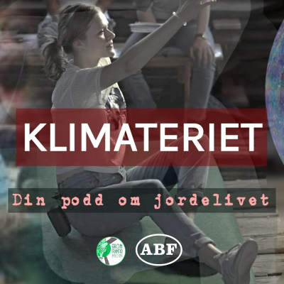 episode 7. Sofia Hallgren Remnert (L) artwork