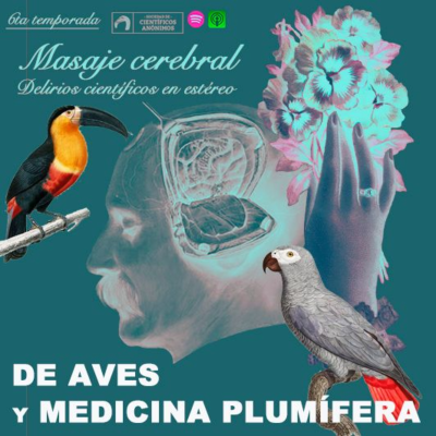 episode DE AVES Y MEDICINA PLUMÍFERA artwork