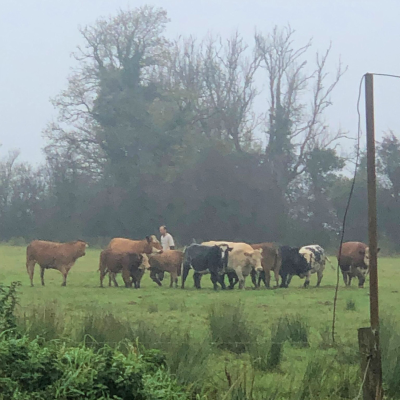 episode 'I do care but that doesn't make me a great carer' artwork