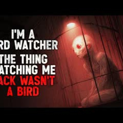 episode "I’m a Bird Watcher. But the Thing Watching Me Back in the Trees Wasn’t a Bird." Creepypasta artwork
