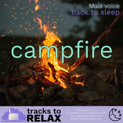 episode Back To Sleep Campfire Sleep Meditation artwork