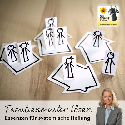 episode Familienmuster lösen: Essenzen für systemische Heilung artwork