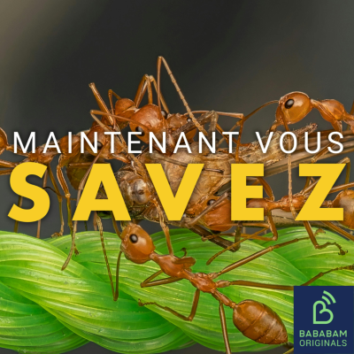 episode Comment les insectes communiquent-ils entre eux ? artwork
