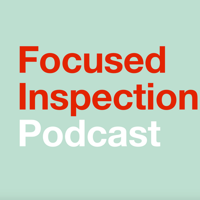 episode Focused Inspection - Episode 2 - Anaesthesiologist Dr Vida Hamilton artwork