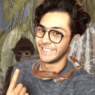 Imagen de portada del espectáculo Cozas