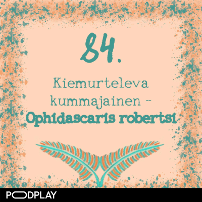 episode 84. Kiemurteleva kummajainen – Ophidascaris robertsi artwork