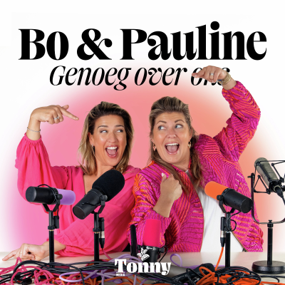 episode Altijd bescheiden, nooit stil artwork