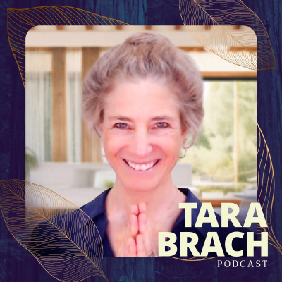 episode Trusting the Path: A Conversation on Refuge & Compassion | Tara Brach, Ajahn Kovilo & Ajahn Nisabho artwork