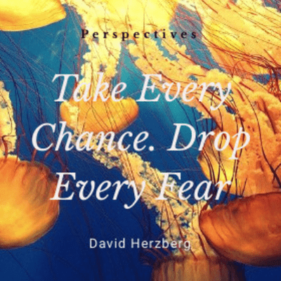 episode Perspectives 1.3: David Herzberg artwork