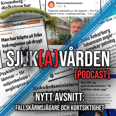 episode #30 - Fallskärmsjägare och kortsiktighet artwork