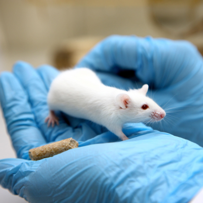 episode Is it the beginning of the end for animal testing? artwork