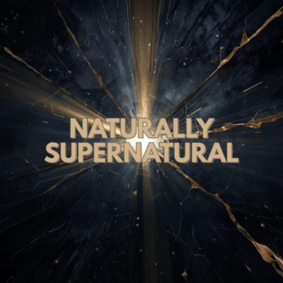 episode 1. The Miraculous Normal artwork