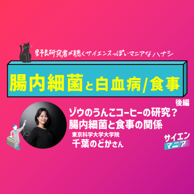 episode ゾウのうんこコーヒーの研究?腸内細菌と食事の関係【腸内細菌と白血病/食事 前編】 #160 artwork