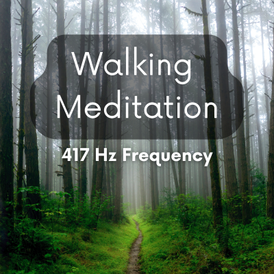 episode Guided Walking Meditation | Create Your New Reality | Alpha State Meditation | 417 Hz Solfeggio artwork