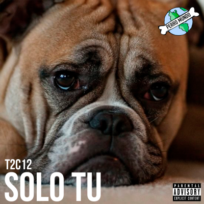 episode PERRO MUNDO SOLO TU T2C12 artwork