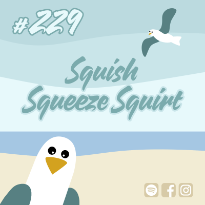 episode # 229 Squish Squeeze Squirt artwork
