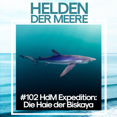 episode Im Bann der Haie - HdM Expedition artwork