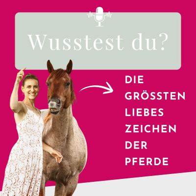 episode Liebt mich mein Pferd? 7 ehrliche Zeichen echter Verbindung artwork