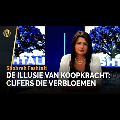 episode DE ILLUSIE VAN KOOPKRACHT: CIJFERS DIE VERBLOEMEN | Shohreh Feshtali artwork