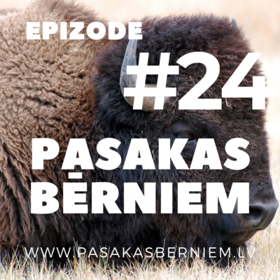 episode Pasaka - Bifelis un bungas artwork