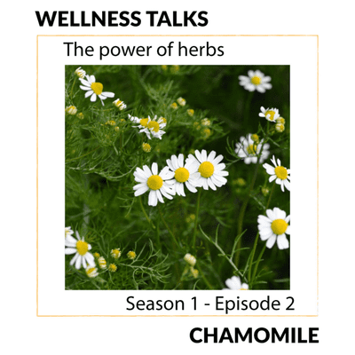 episode The power of herbs - CHAMOMILE artwork