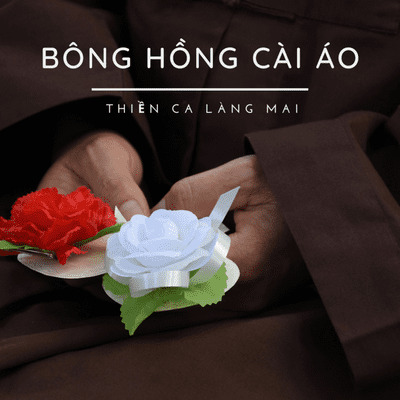 episode [Kỳ 2] Thiền Ca Làng Mai - Bông Hồng Cài Áo - Nhạc Không Lời artwork